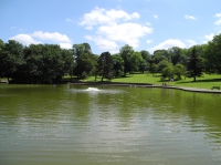 Фото St George park