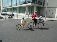 Фото Folding Bike Trailer
