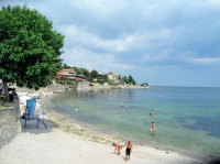 Фото beach, trees, sea
