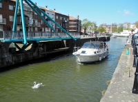 Фото swing bridge, white swan