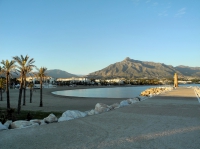Фото mountain, palms, beach