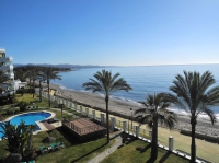 Фото Mediterranean Sea, palms