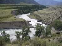Фото Altai Mountains, mountain river