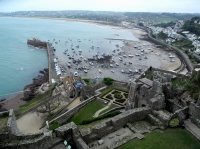 Фото low tide, harbour