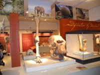 Фото museum