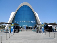 Фото aquarium